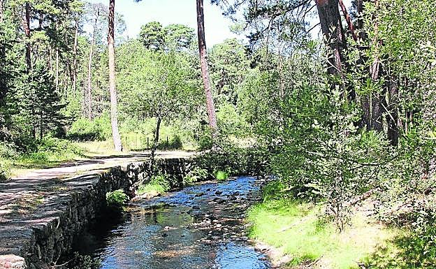 El río Eresma, a su paso por las Pesquerías Reales. 