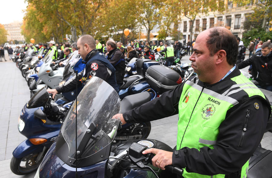 Fotos: Día en Recuerdo de las Víctimas de Accidentes de Tráfico en Valladolid