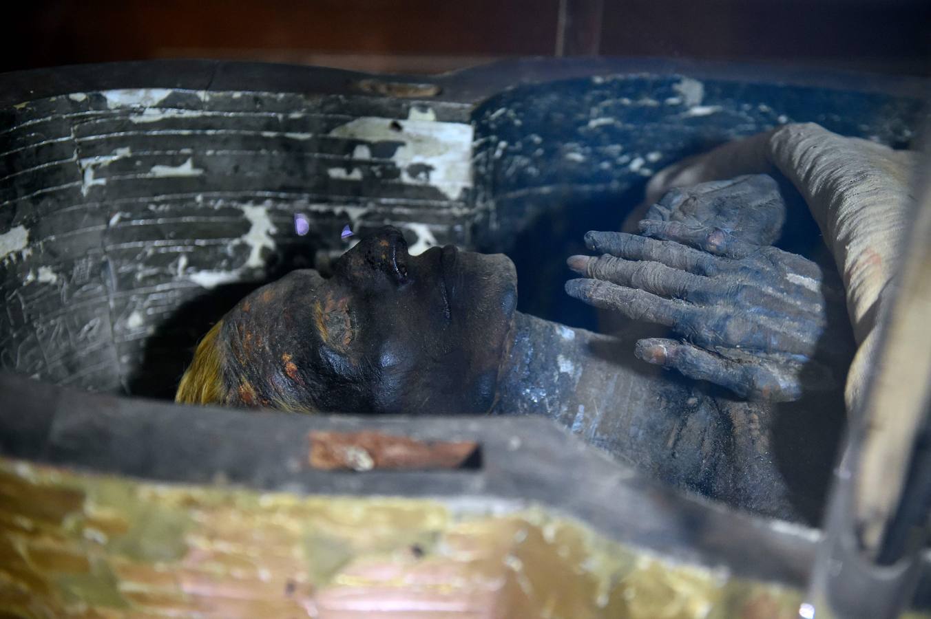 El Museo Egipcio en El Cairo cumple 116 años con una exhibición. Yuya y Thuya son los padres de la Reina Tiye, que fue la esposa del Faraón Amenhotep III, el padre del rey Akhenaton. Esta tumba es famosa debido a sus tesoros únicos, como la rueda de oro de Yuya, y la magnífica colección funeraria que incluye camas, sillas y cajas de madera dorada y decoradas con fayenza, marfil y ébano; así como ollas y vasos de alabastro con incrustaciones de piedras de colores. Las momias de Yuya y Thuya también se encontraron dentro de la tumba en muy buenas condiciones de conservación debido a la alta calidad de los materiales de embalsamamiento utilizados en la época