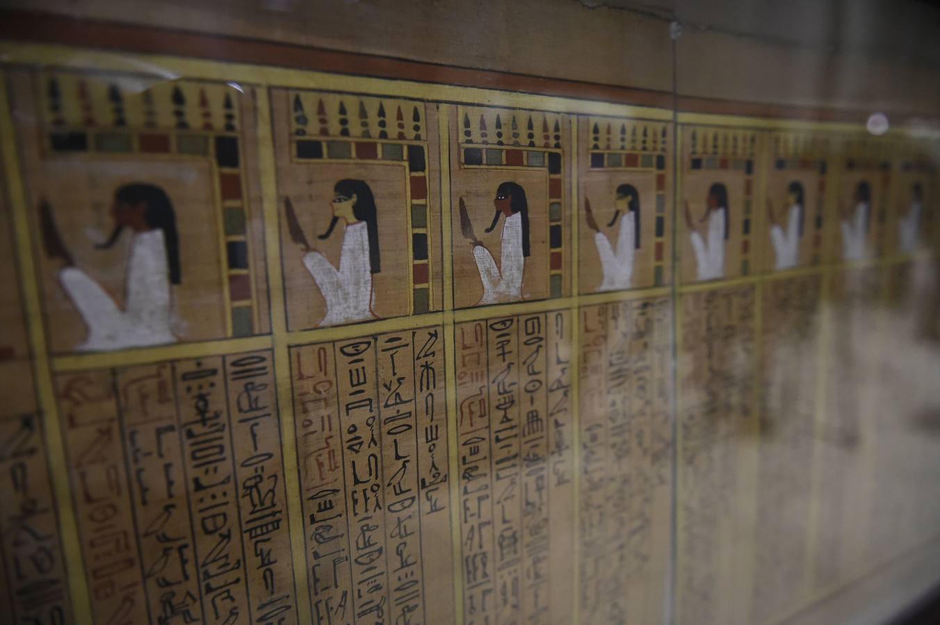 El Museo Egipcio en El Cairo cumple 116 años con una exhibición. Yuya y Thuya son los padres de la Reina Tiye, que fue la esposa del Faraón Amenhotep III, el padre del rey Akhenaton. Esta tumba es famosa debido a sus tesoros únicos, como la rueda de oro de Yuya, y la magnífica colección funeraria que incluye camas, sillas y cajas de madera dorada y decoradas con fayenza, marfil y ébano; así como ollas y vasos de alabastro con incrustaciones de piedras de colores. Las momias de Yuya y Thuya también se encontraron dentro de la tumba en muy buenas condiciones de conservación debido a la alta calidad de los materiales de embalsamamiento utilizados en la época