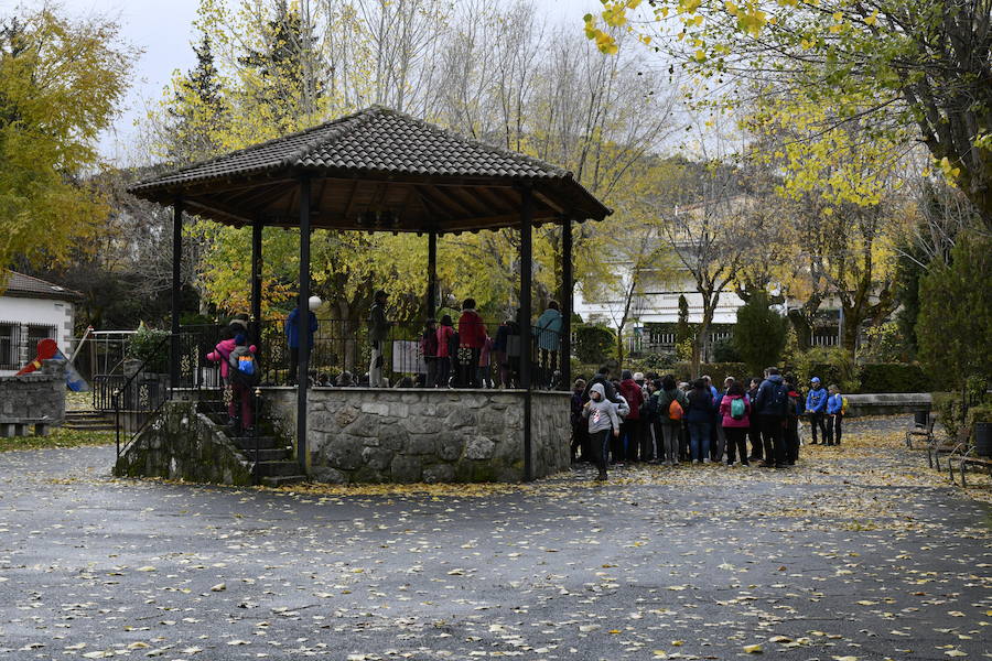 Fotos: Actos contra la violencia de género en El Espinar