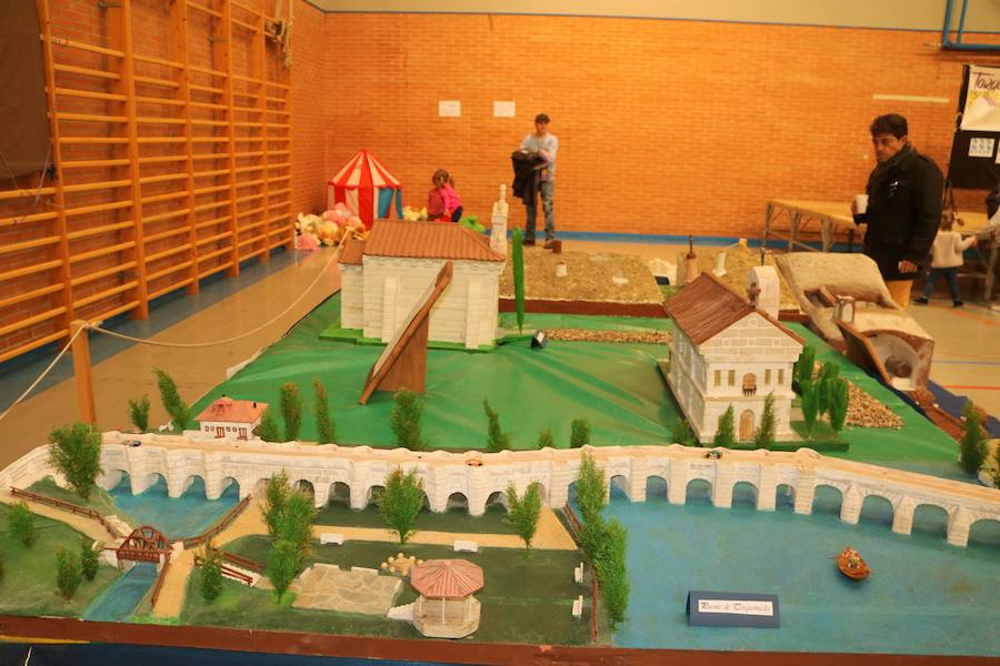 Fotos: Torquemada muestra su cara más solidaria con los afectados por enfermedades