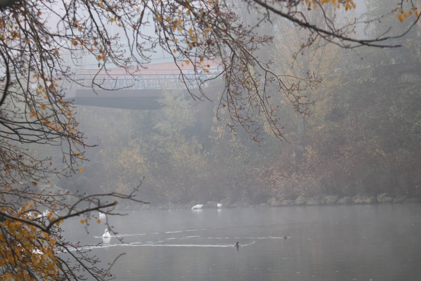 Fotos: Jornada de niebla en Valladolid