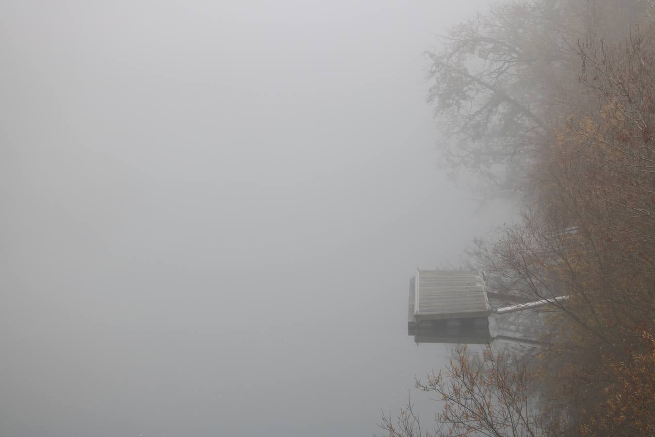 Fotos: Jornada de niebla en Valladolid