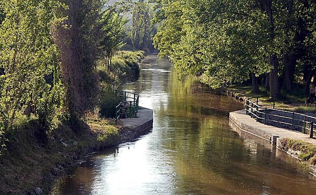 Inmediaciones de la localidad de Sardón de Duero.