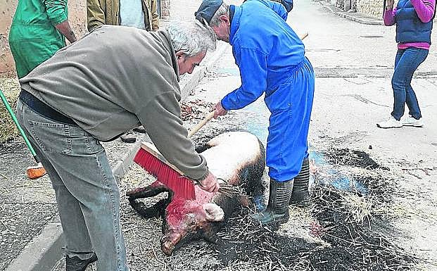 Participantes en la matanza del cerdo. 