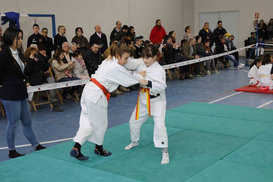 Fotos: Fiesta del Judo en Quintanilla de Onésimo