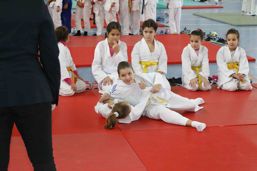 Fotos: Fiesta del Judo en Quintanilla de Onésimo