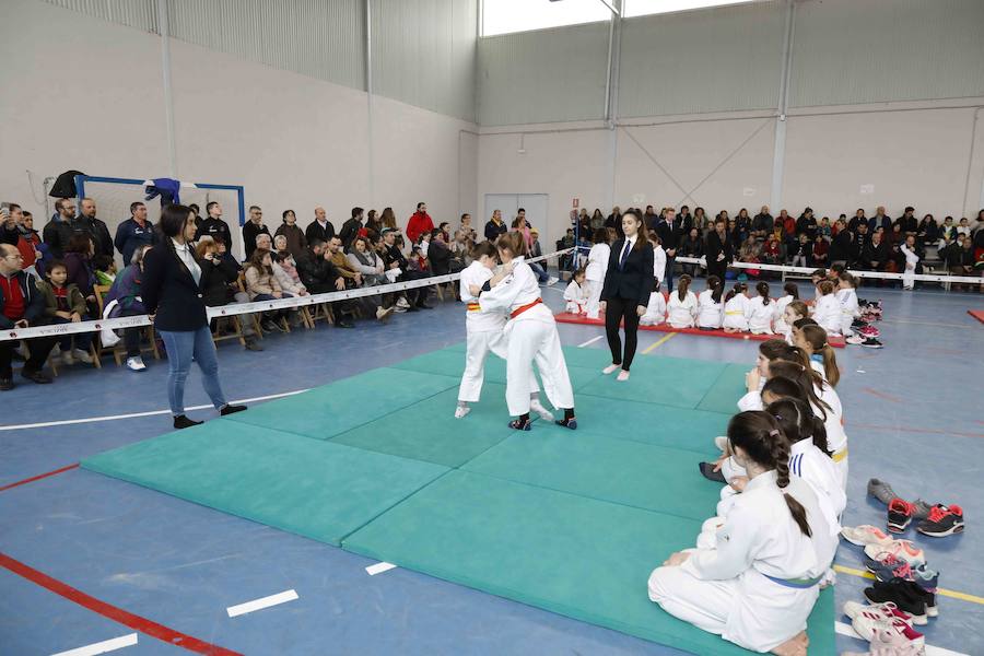 Fotos: Fiesta del Judo en Quintanilla de Onésimo