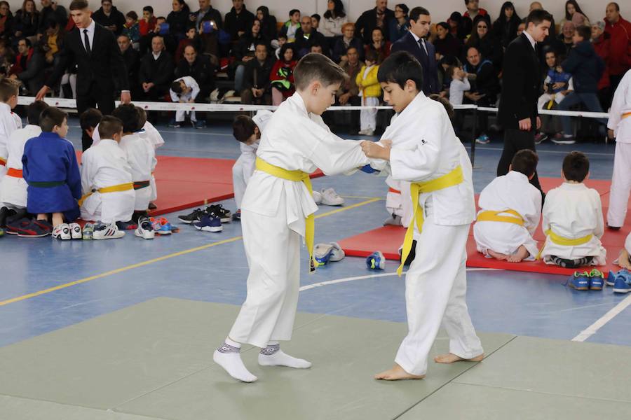 Fotos: Fiesta del Judo en Quintanilla de Onésimo