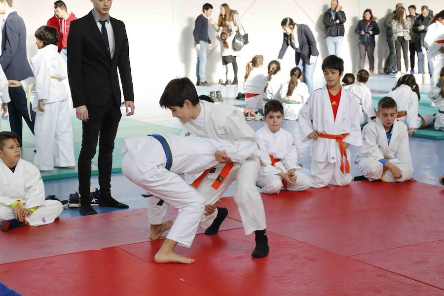 Fotos: Fiesta del Judo en Quintanilla de Onésimo