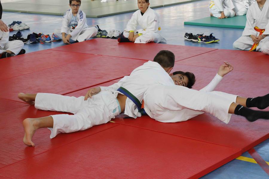 Fotos: Fiesta del Judo en Quintanilla de Onésimo