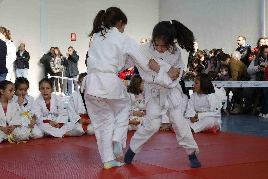 Fotos: Fiesta del Judo en Quintanilla de Onésimo