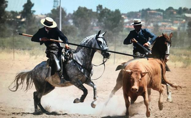 Imagen cedida por la Peña El Caballo en la que aparece El Juli acosando.