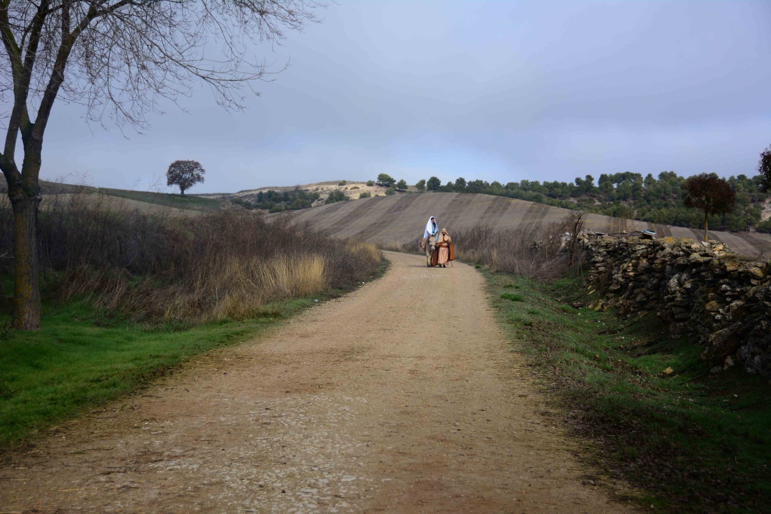 Sesenta actores y la representación de hasta 13 oficios castellanos se han dado cita en esta localidad de Torozos con motivo de la Navidad