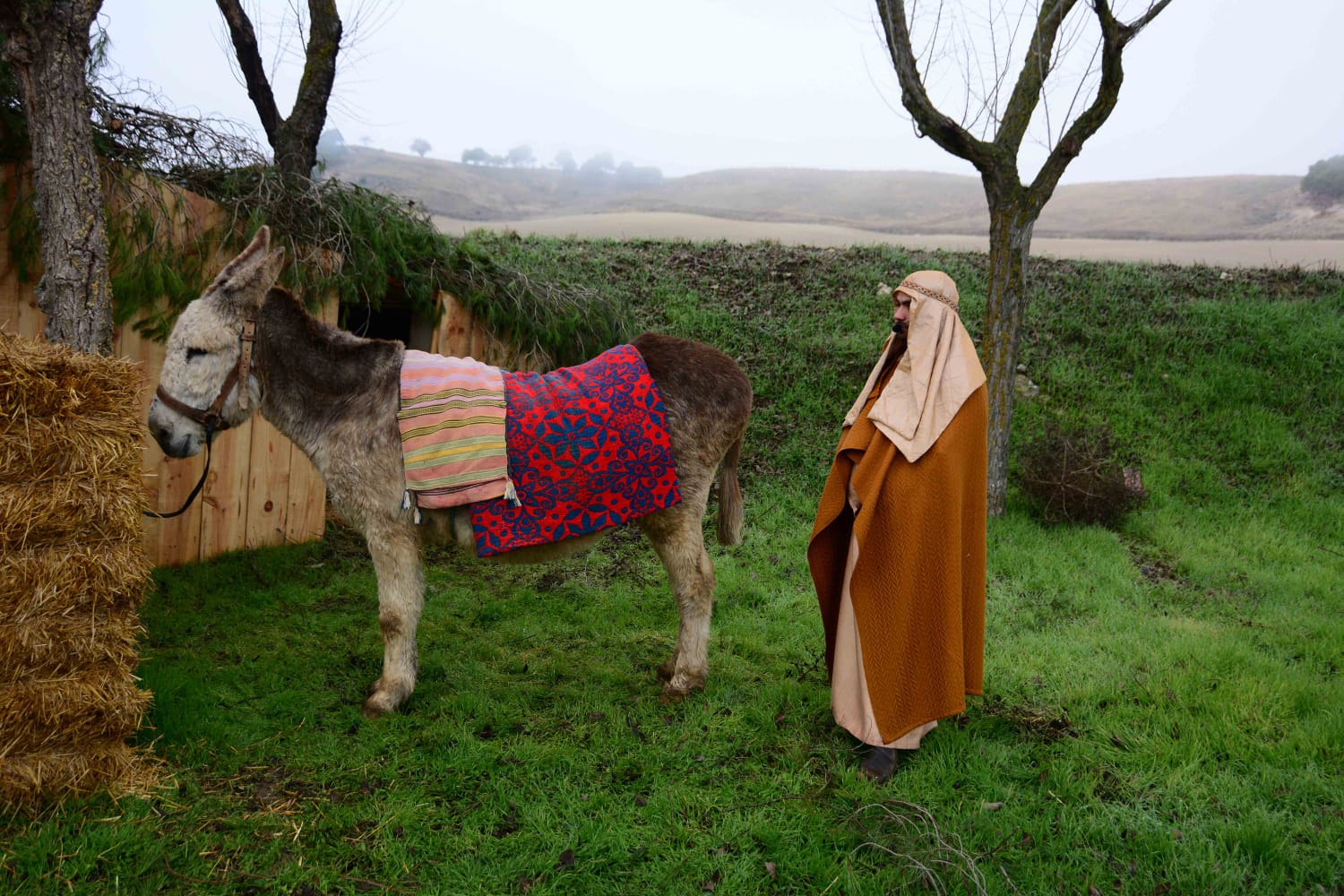 Sesenta actores y la representación de hasta 13 oficios castellanos se han dado cita en esta localidad de Torozos con motivo de la Navidad