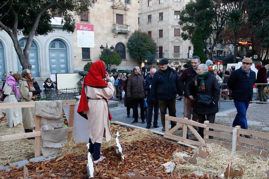 Fotos: Belén viviente en la Plaza de los Bandos de Salamanca