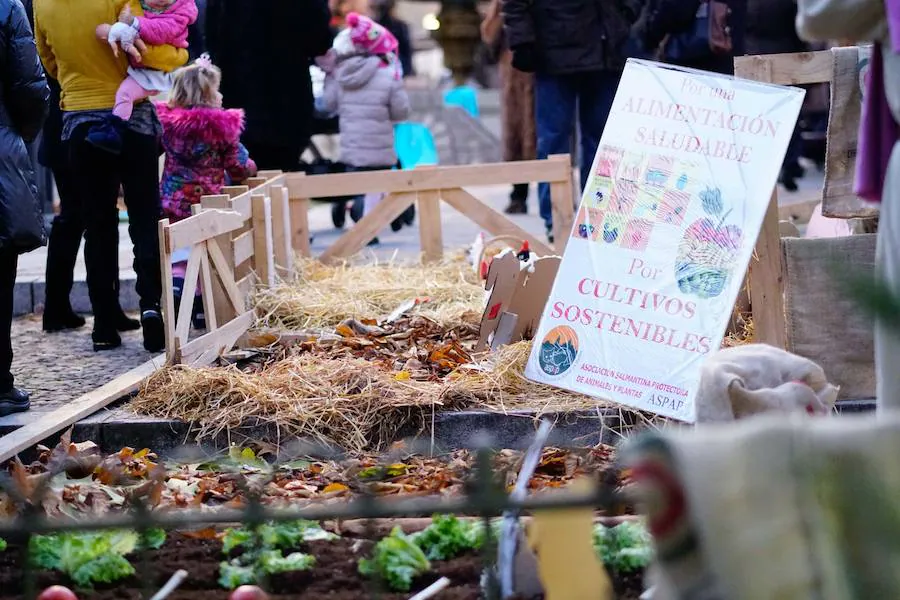 Fotos: Belén viviente en la Plaza de los Bandos de Salamanca