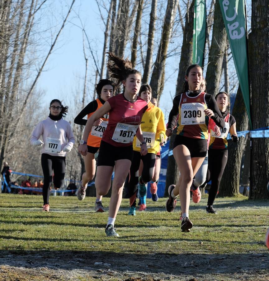 Fotos: XXXV Cross Rondilla &#039;Las 12 uvas&#039;: categoría junior y juvenil masculino y femenino