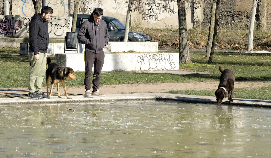 Helada en Valladolid.