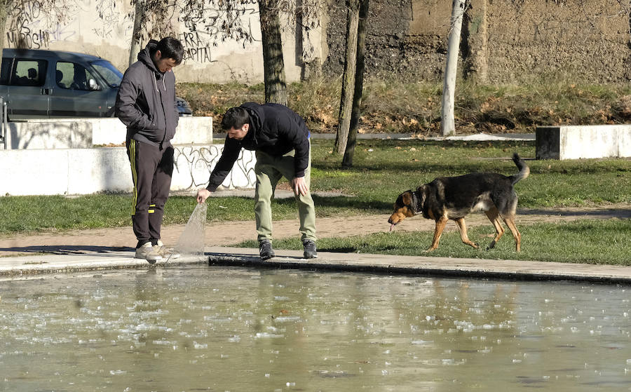 Helada en Valladolid.
