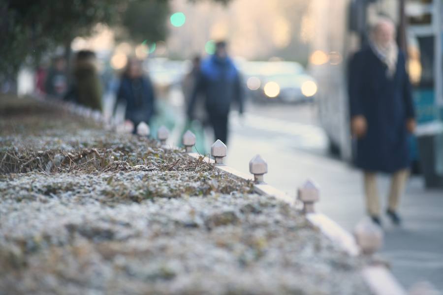 Helada en Valladolid.