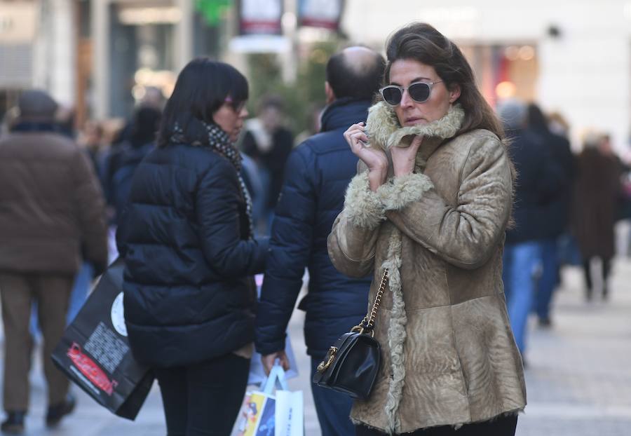 Fotos: La provincia de Valladolid amanece con temperaturas bajo cero