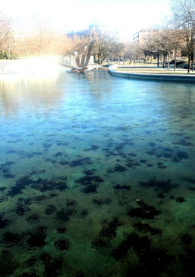 Fotos: Helada en Valladolid