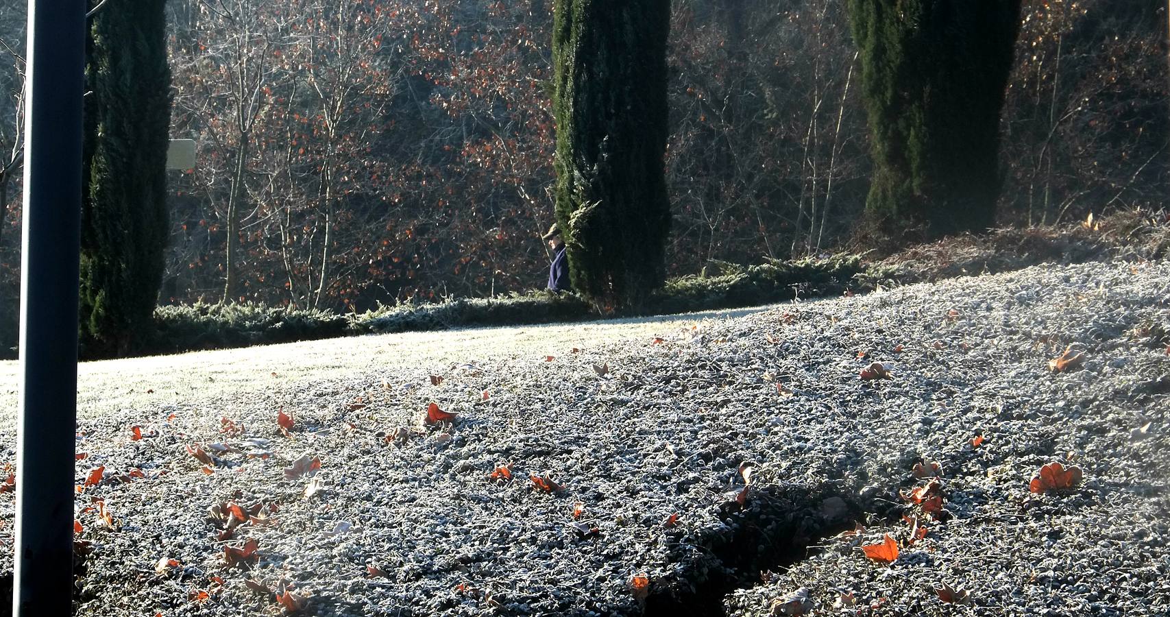 Fotos: Helada en Valladolid
