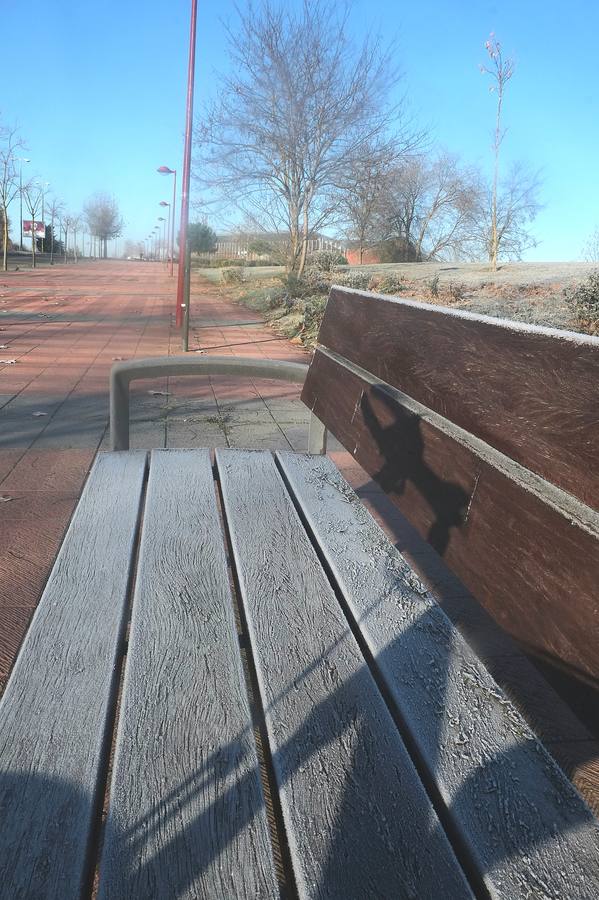 Fotos: Helada en Valladolid