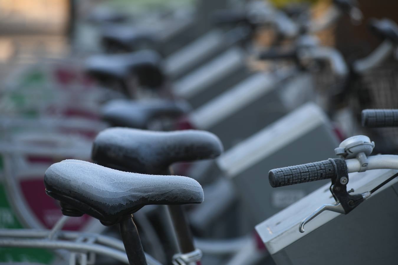 Fotos: Helada en Valladolid