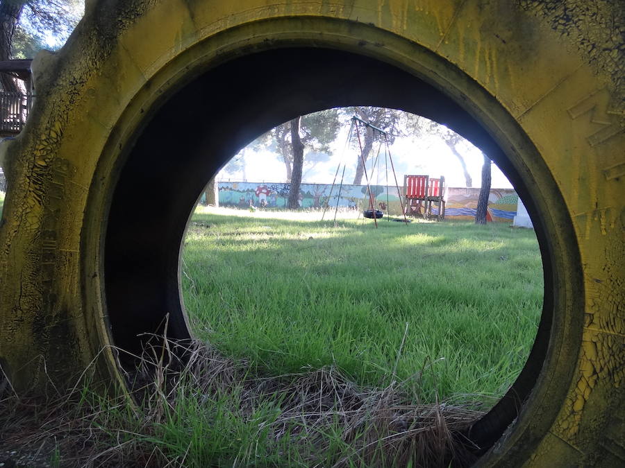 Fotos: Estado actual del Círculo Campestre, en Valladolid