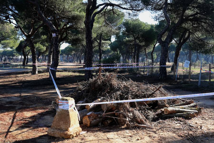 La antes conocida como la Antigua Hípica se prepara para albergar a los 30.000 moteros que espera la organización este año