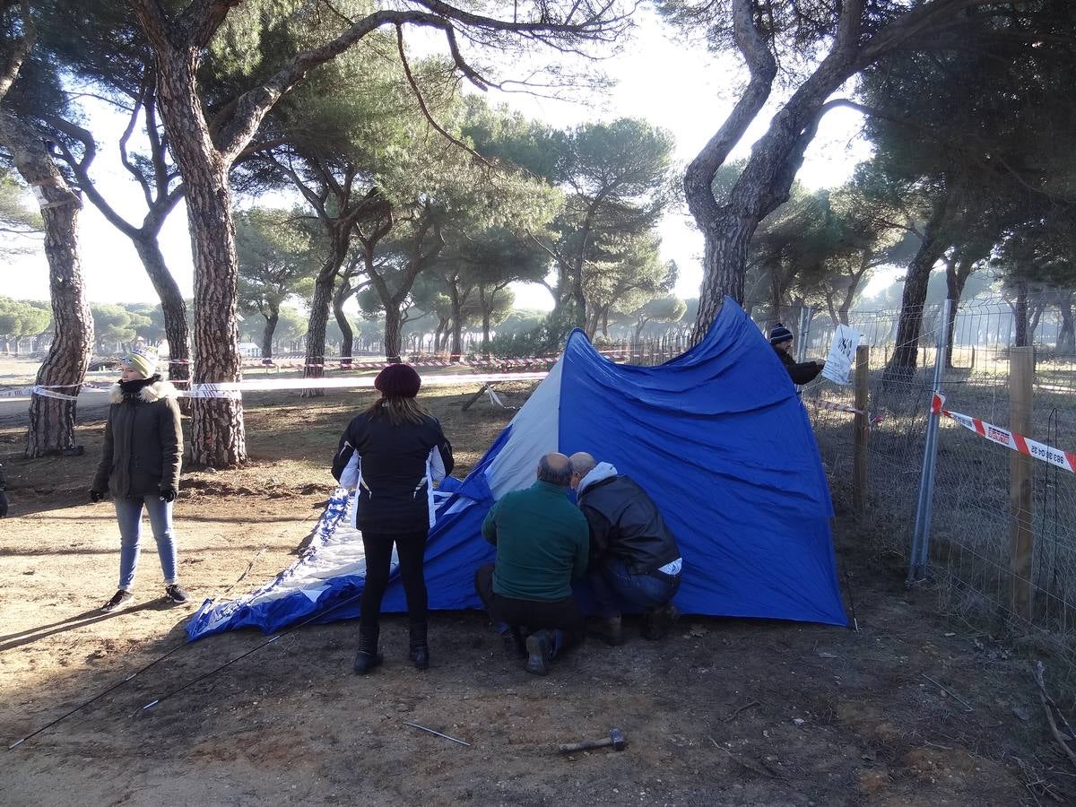 Los asistentes contarán este año con una «importante novedad» en forma de «carpa gigante» instalada a continuación del escenario en la plaza principal de la campa