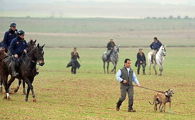 Último Campeonato Nacional de Galgos celebrado en Nava del Rey. 