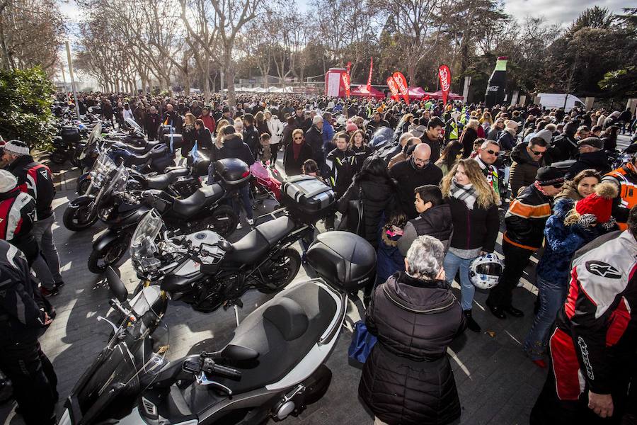 Fotos: Desfile de banderas de Pingüinos 2019