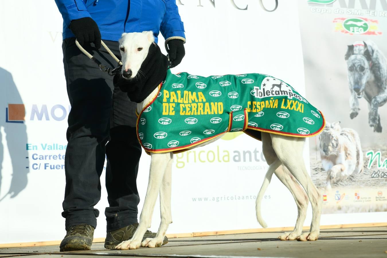 Fotos: Octavos de final del Campeonato Nacional de galgos, en Nava del Rey