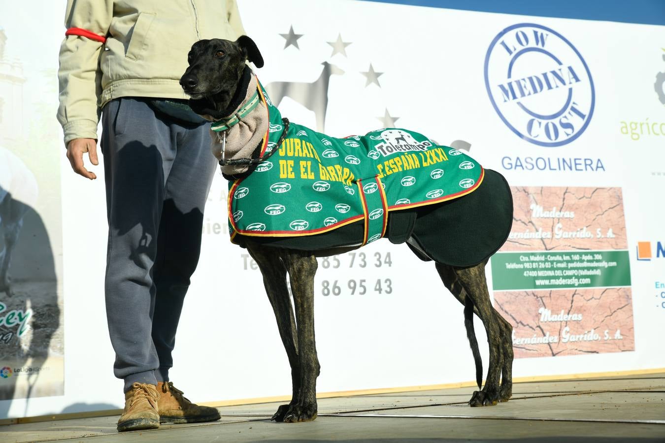 Fotos: Octavos de final del Campeonato Nacional de galgos, en Nava del Rey