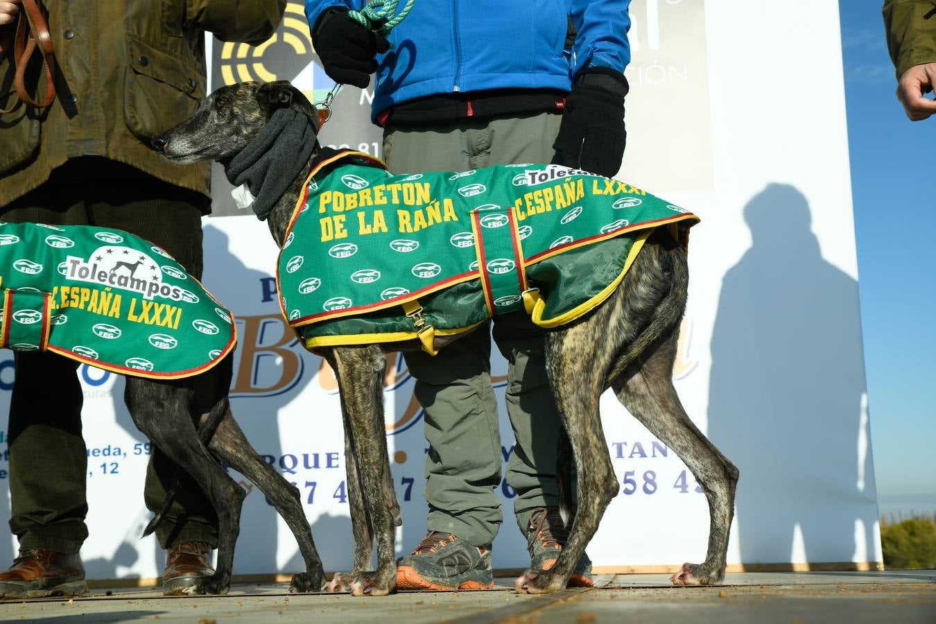 Fotos: Octavos de final del Campeonato Nacional de galgos, en Nava del Rey