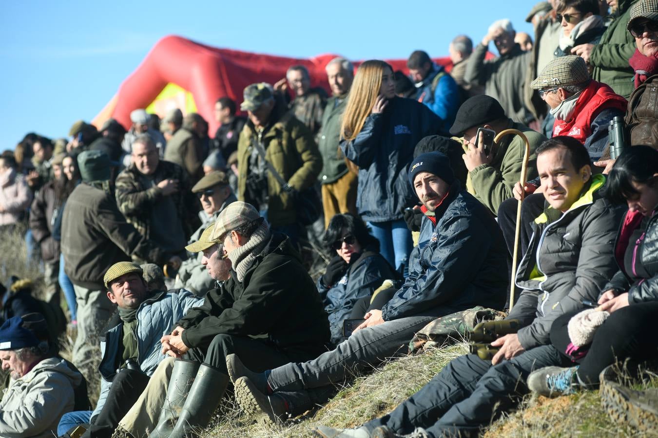 Fotos: Octavos de final del Campeonato Nacional de galgos, en Nava del Rey