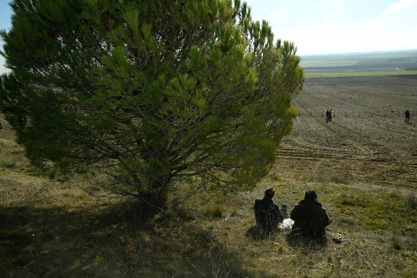 Fotos: Octavos de final del Campeonato Nacional de galgos, en Nava del Rey