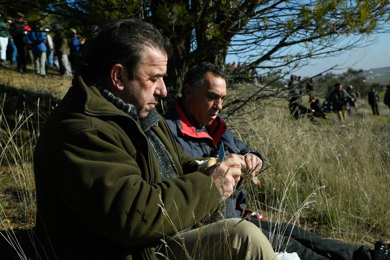 Fotos: Octavos de final del Campeonato Nacional de galgos, en Nava del Rey