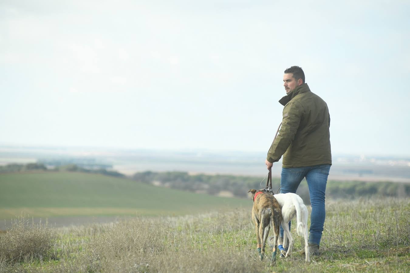 Fotos: Octavos de final del Campeonato Nacional de galgos, en Nava del Rey