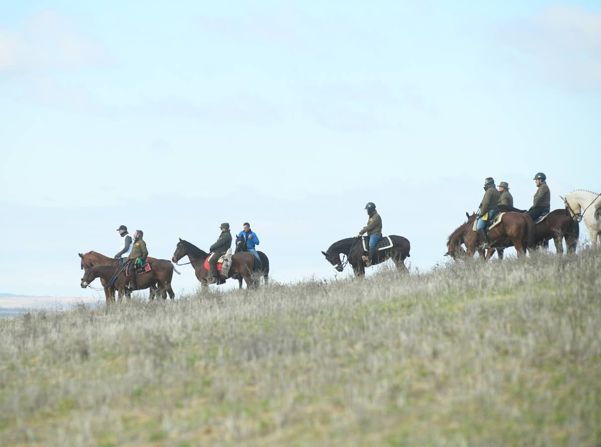 Fotos: Octavos de final del Campeonato Nacional de galgos, en Nava del Rey