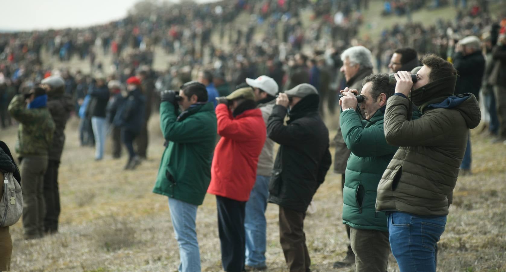 Fotos: Octavos de final del Campeonato Nacional de galgos, en Nava del Rey