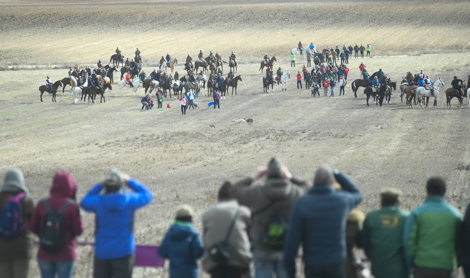 Fotos: Octavos de final del Campeonato Nacional de galgos, en Nava del Rey