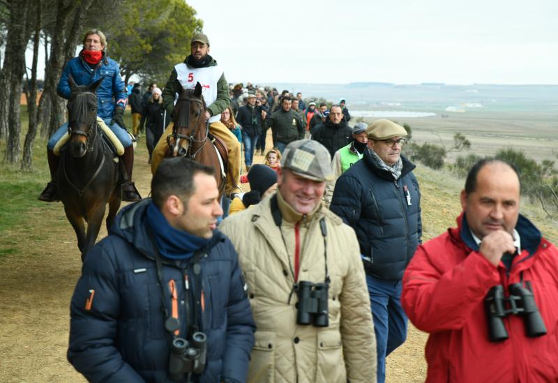 Fotos: Jornada del domingo en el Campeonato Nacional de Galgos de Nava del Rey