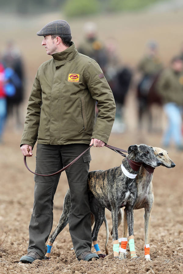 Fotos: Jornada del domingo en el Campeonato Nacional de Galgos de Nava del Rey