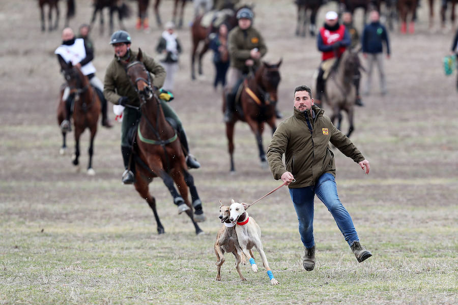 Fotos: Jornada del domingo en el Campeonato Nacional de Galgos de Nava del Rey