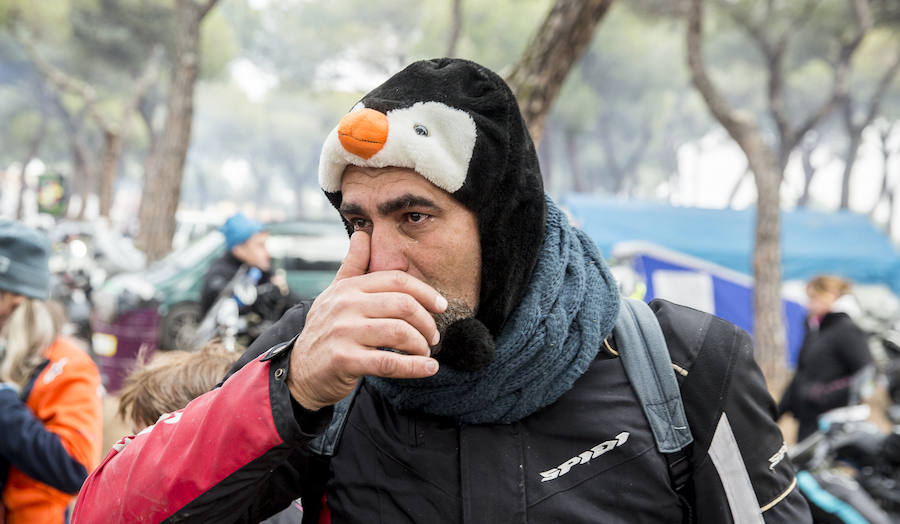 Se ha hecho entrega de los Pingüinos de Oro y de Honor de esta 36 edición